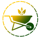 Yard Maintenance